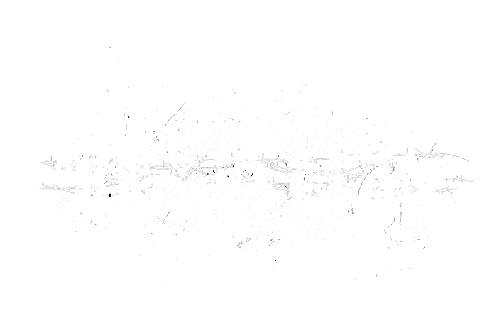 vor die hunde logo